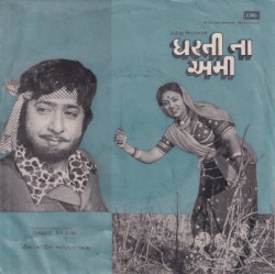 ધરતી ના અમી