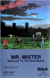 Welcome to the Real World