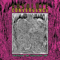 Absolute Convergence