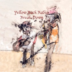 Yellow Back Radio Break Down