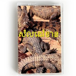 SE Asian Noise(s)