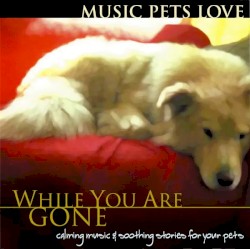 While You Are Gone