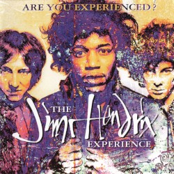Are You Experienced?