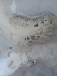 Live at Surrealist Sands