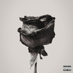 Black Rose