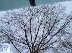 Winter Solstice