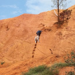 Skydiving onto the library roof / Everything for everyone