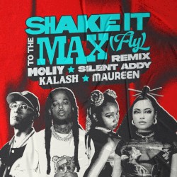Shake It To The Max (FLY) (Kalash & Maureen Remix)