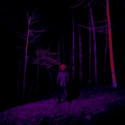 If Looks Could Kill (Directors Cut)