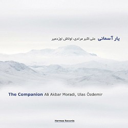 The Companion