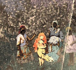 Laulu laakson kukista