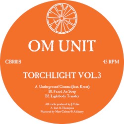 Torchlight, Vol.3
