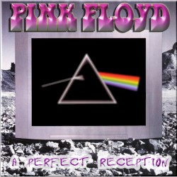 A Perfect Reception