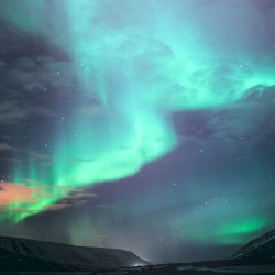 Aurora