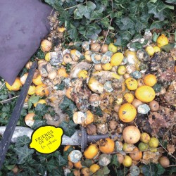 La Palma / Und all die Hummeln