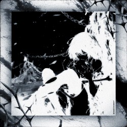 Assault (Sibewest remix)
