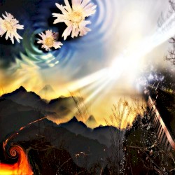 cat's cradle2 MV VERSION