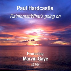 Rainforest/What's Going On (19 mix)