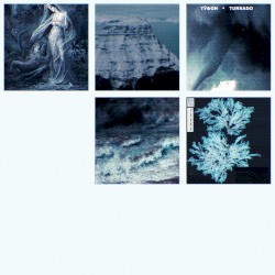 A Young Woman Walks Into The Sea