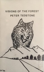 Visions Of The Forest