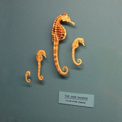 Curse of the Tuatara