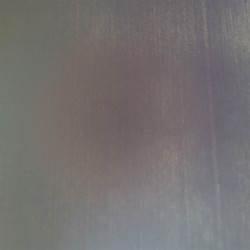 Le scarabée désespéré