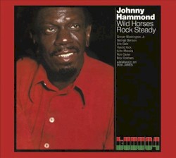 Wild Horses/Rock Steady