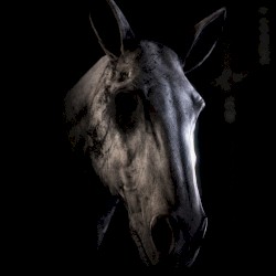 Everybody Needs Someone