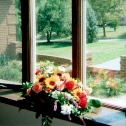 Sometimes Even in My Dreams I Am