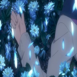 Bluu Dream LP