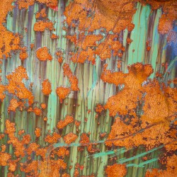Euonym