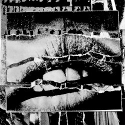 Dirt Chamber vs Harm Signals