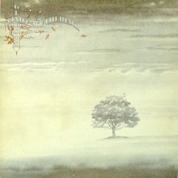 Wind & Wuthering