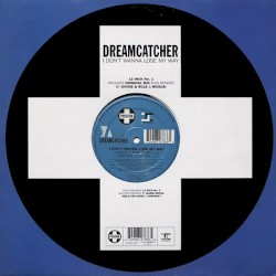 I Don't Wanna Lose My Way