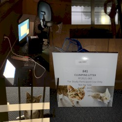 Baseline Location Referential [[INDIR]] .:(V):. [sunroo] "cat-oriented area within +other objects & we all thx big windows surrounding for weather nicenmess." .:(V):.