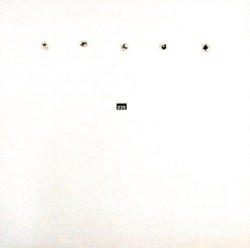 FatCat Split Series #5