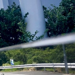 Sekirei no Youni [Promote Song]