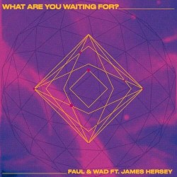 What Are You Waiting For? (extended mix)