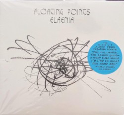 Elaenia
