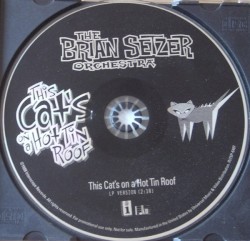 This Cat's on a Hot Tin Roof