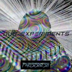 DuB Experiments