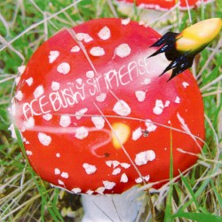 A Little More Suspicion in Our Fairytales Plz