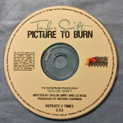 Picture to Burn