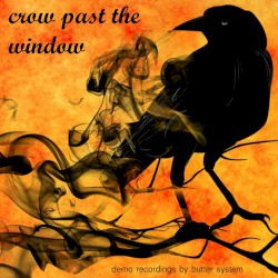 Crow Past the Window