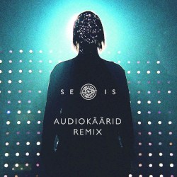 Seis (Audiokäärid remix)