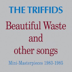 Beautiful Waste and Other Songs