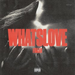 WHATSLOVE