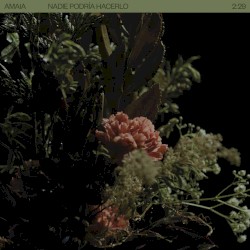 Nadie podrÃa hacerlo