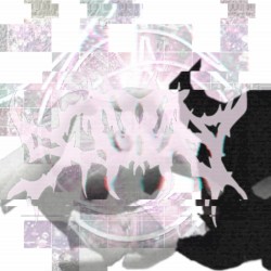 ★cameras (flash)★