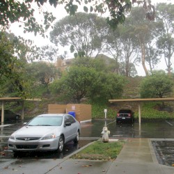Rainy Day